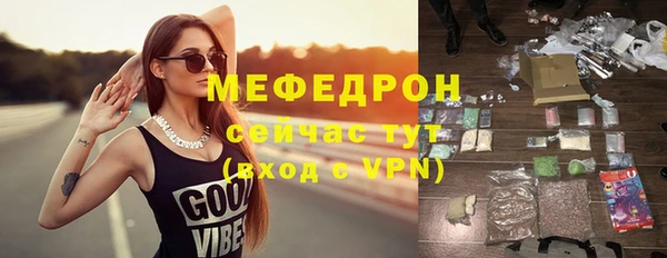 индика Инта