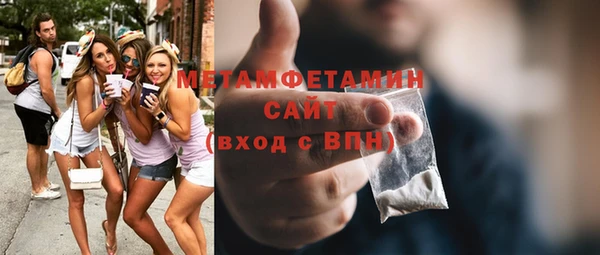 индика Инта