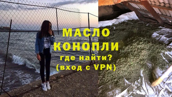 индика Инта