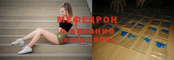 индика Инта