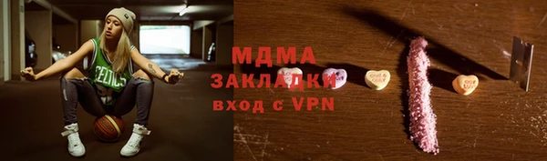 индика Инта