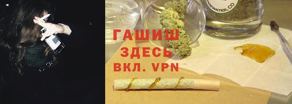 индика Инта