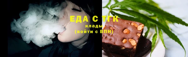 индика Инта