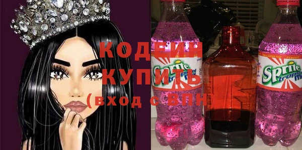 индика Инта
