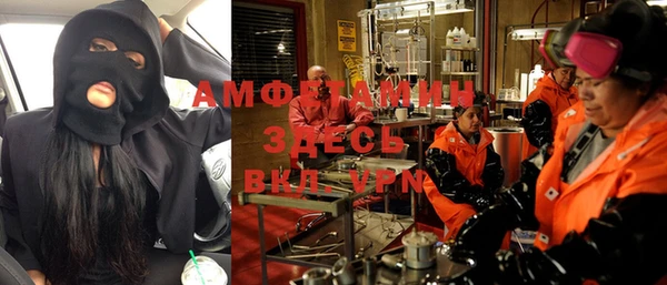 индика Инта