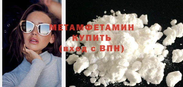 индика Инта