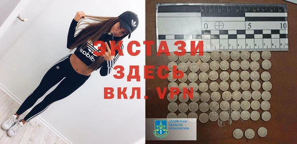 индика Инта