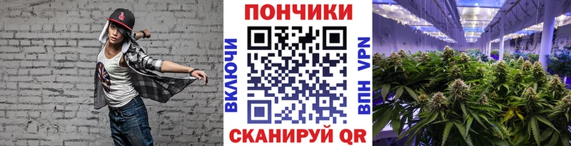 Купить закладки  Бор  Канабис планчик 
